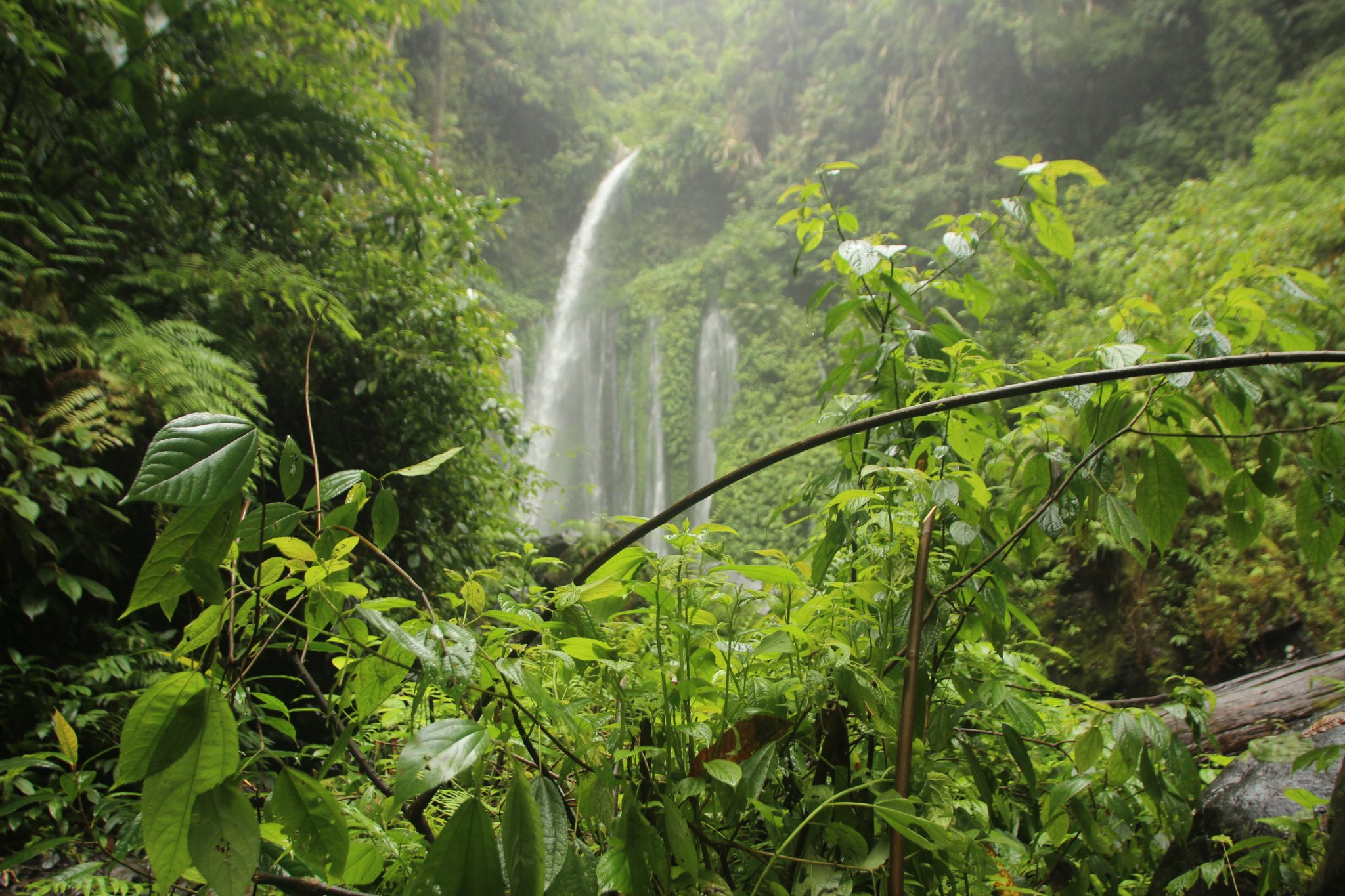 Energía natural del Amazonas